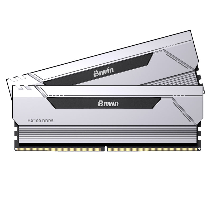 KIT DE MEMORIA RAM DDR5 BIWIN HX100 32GB (2X16GB), 6000MHZ, CL34, 1.1V, 1RX8, COLOR PLATA