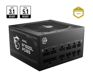 FUENTE DE PODER ATX MSI MAG A750GL 750W 80+ GOLD CON CONECTOR PCIE 5.0