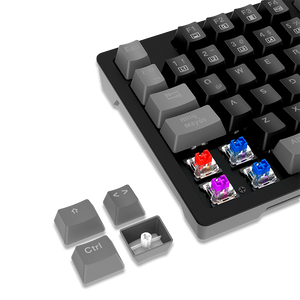 TECLADO MECÁNICO TKL ANTRYX MK840L BLACK & GRAY CON SWITCH ROJO (AMK-CS840LKGRE-SP)