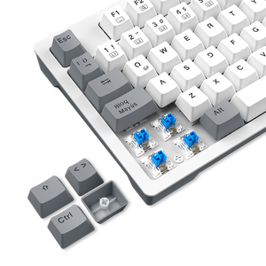 TECLADO MECÁNICO ANTRYX TKL MK840L WHITE & GRAY | SWITCH BLUE | ILUMINACIÓN RGB | DISEÑO COMPACTO | ALTO RENDIMIENTO